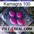 Kamagra 100 02